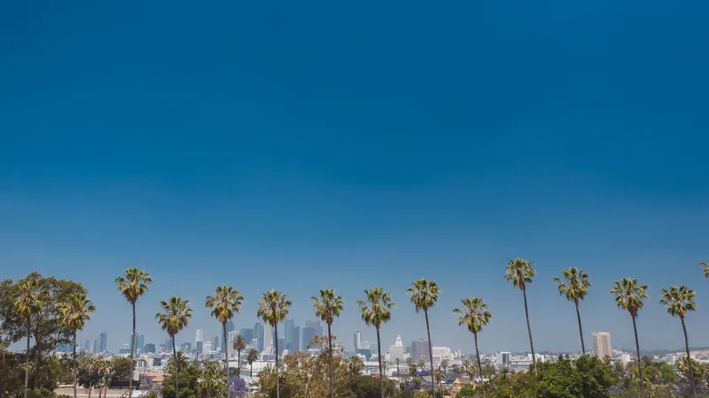 The Los Angeles skyline framed by palm trees